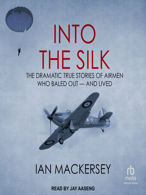 cover image of Into the Silk